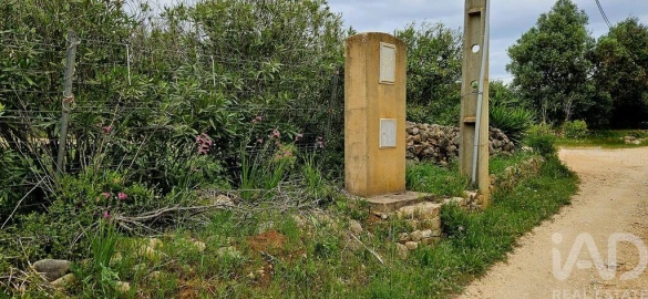 Terreno para Venda em Barão de São Miguel