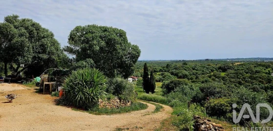 Terreno para Venda em Barão de São Miguel