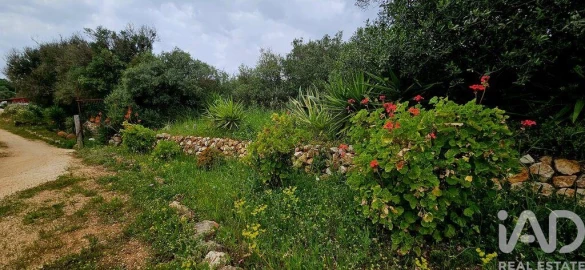 Terreno para Venda em Barão de São Miguel