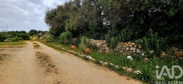 Terreno para Venda em Barão de São Miguel