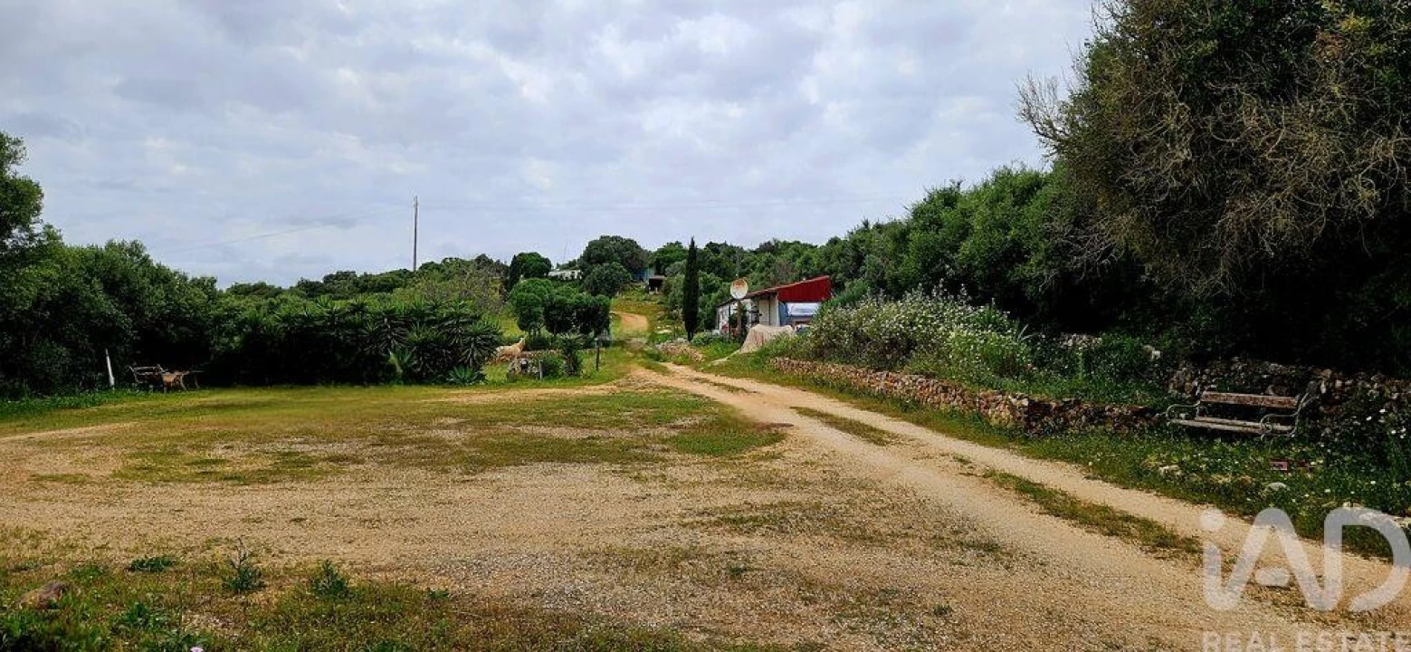 Terreno para Venda em Barão de São Miguel Foto 28