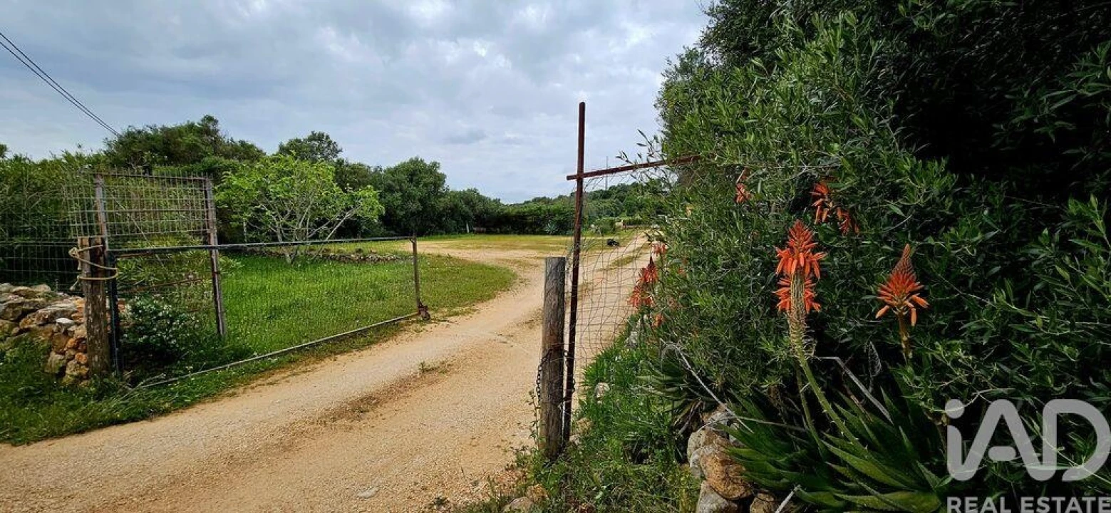 Terreno para Venda em Barão de São Miguel Foto 24