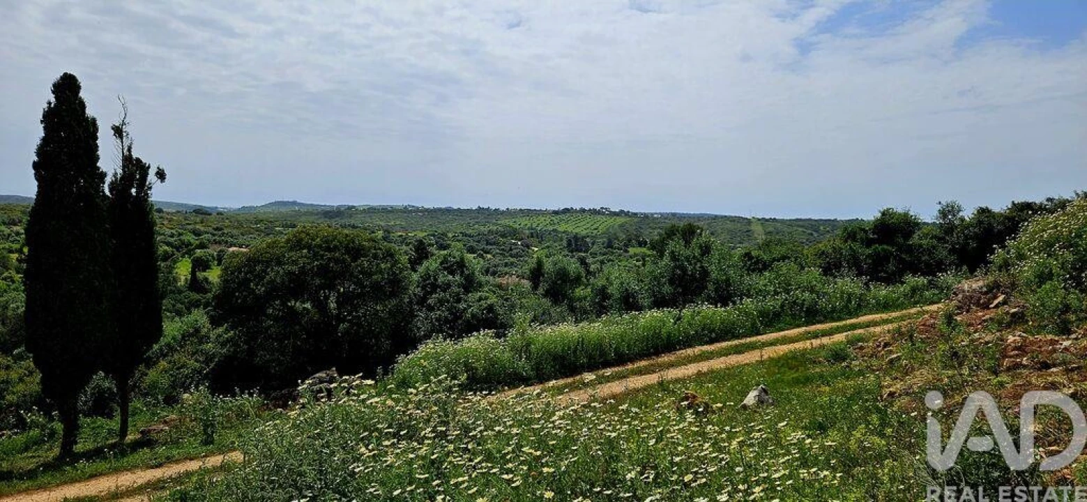 Terreno para Venda em Barão de São Miguel Foto 16
