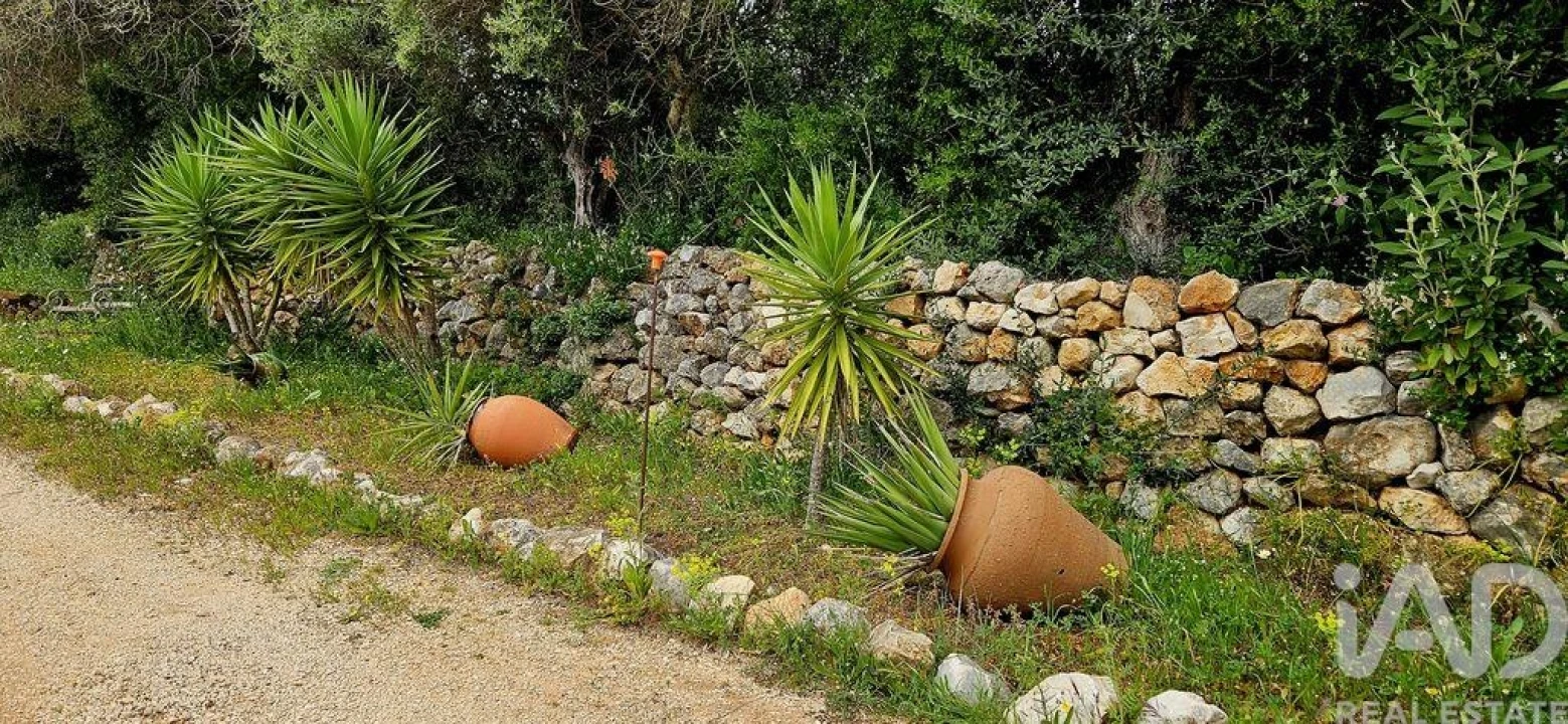 Terreno para Venda em Barão de São Miguel Foto 27