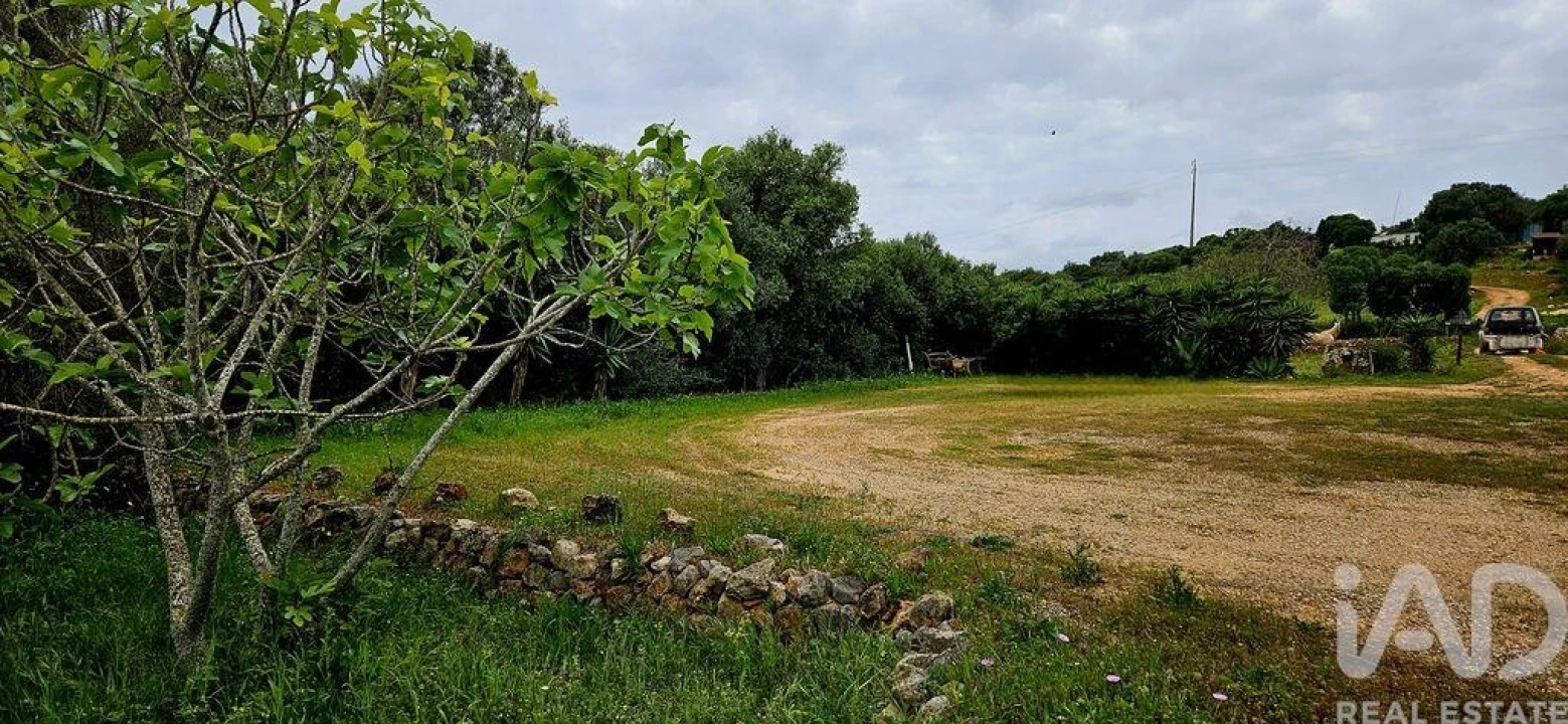 Terreno para Venda em Barão de São Miguel Foto 26