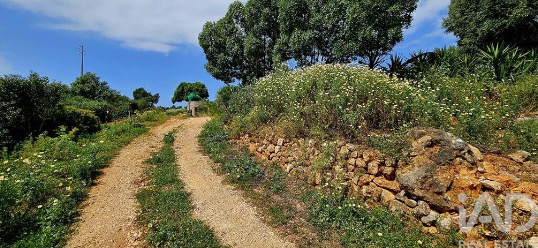 Terreno para Venda em Barão de São Miguel Foto 3