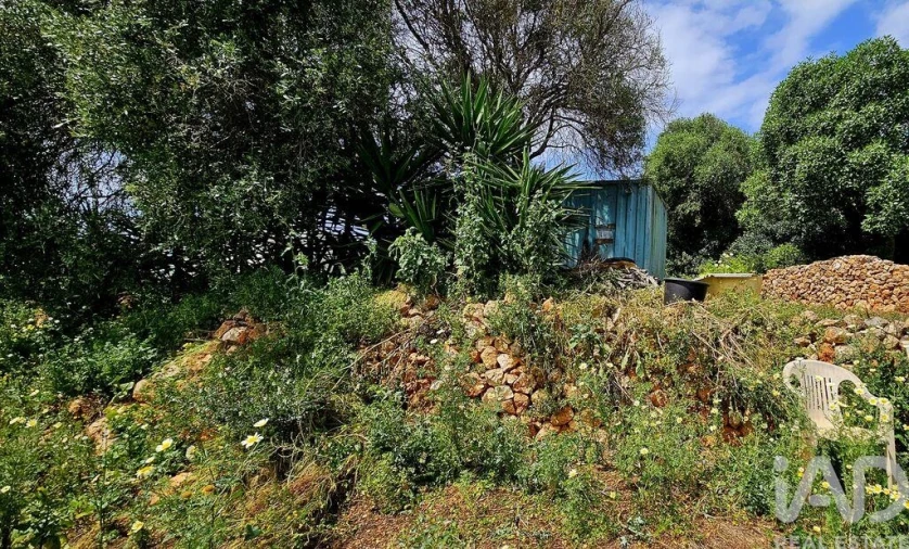 Terreno para Venda em Barão de São Miguel Foto 19
