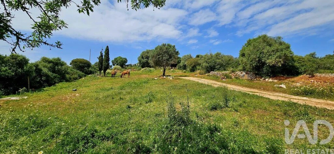 Terreno para Venda em Barão de São Miguel Foto 11