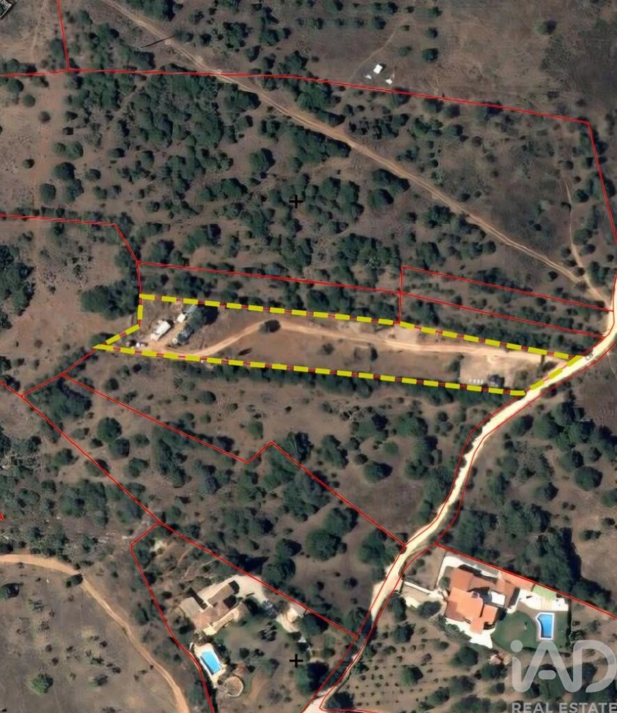 Terreno para Venda em Barão de São Miguel Foto 34