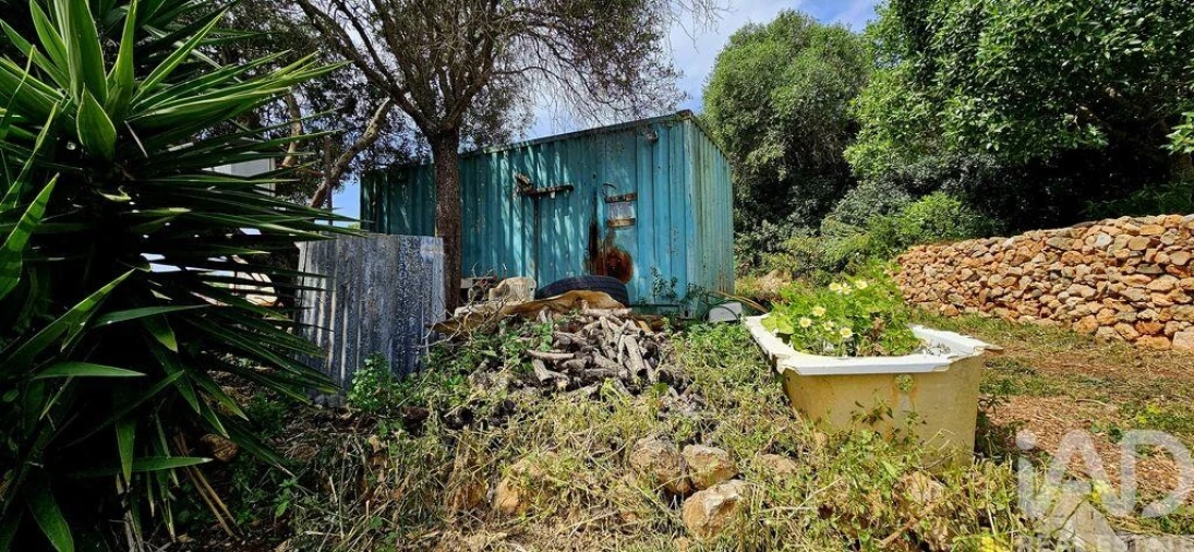 Terreno para Venda em Barão de São Miguel Foto 18