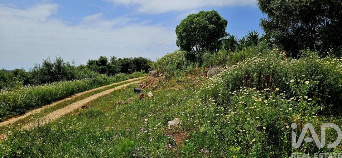 Terreno para Venda em Barão de São Miguel Foto 9
