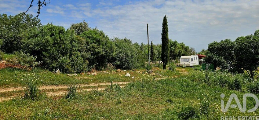 Terreno para Venda em Barão de São Miguel Foto 14