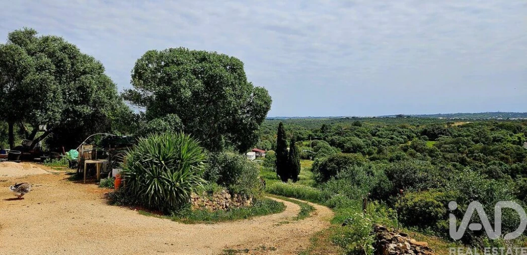 Terreno para Venda em Barão de São Miguel Foto 5