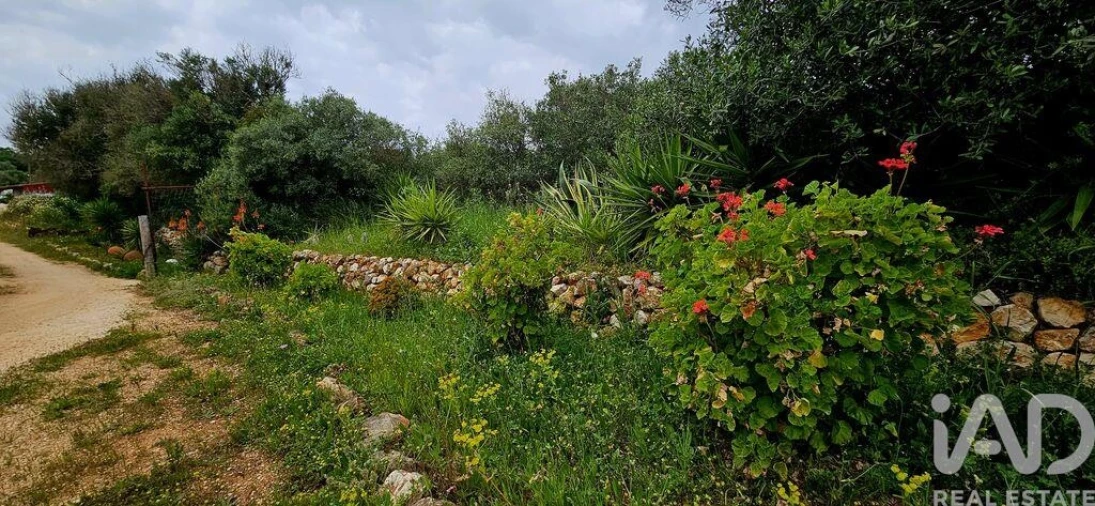 Terreno para Venda em Barão de São Miguel Foto 15