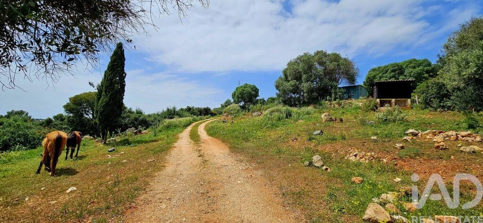 Terreno para Venda em Barão de São Miguel Foto 10