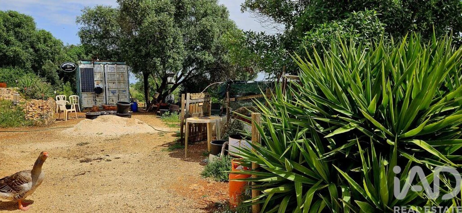 Terreno para Venda em Barão de São Miguel Foto 21
