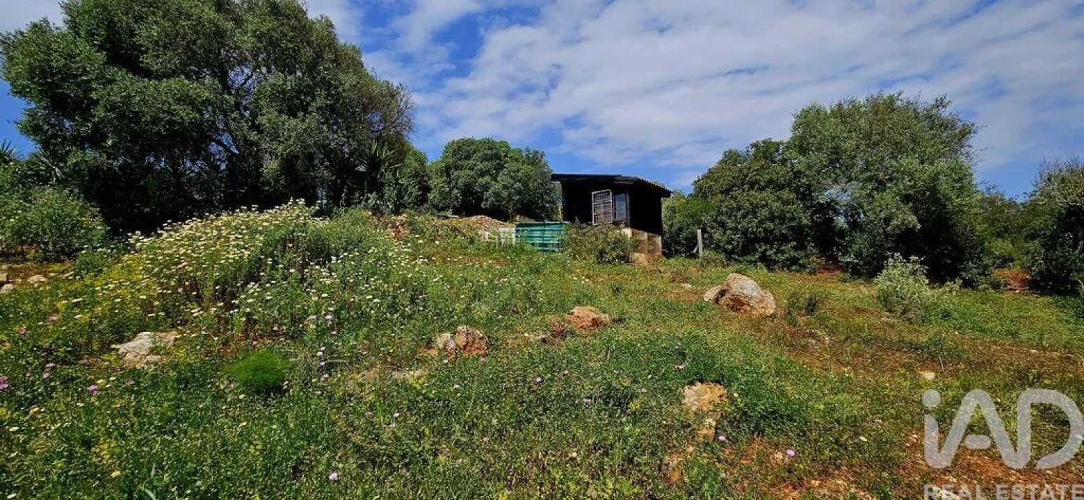 Terreno para Venda em Barão de São Miguel Foto 20