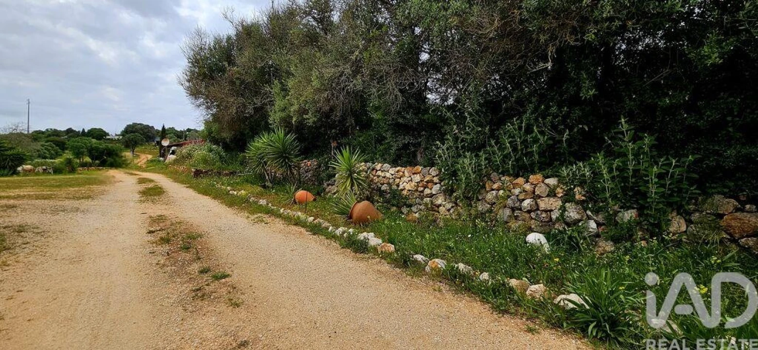 Terreno para Venda em Barão de São Miguel Foto 25