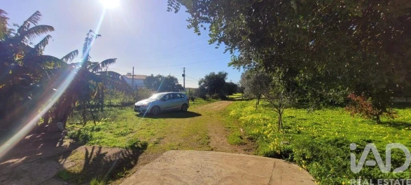 Terreno para Venda em Ferreiras
