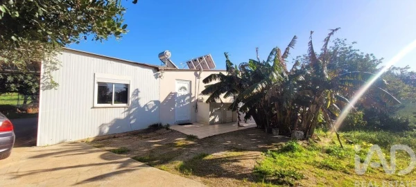 Terreno para Venda em Ferreiras