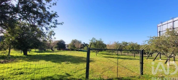 Terreno para Venda em Ferreiras