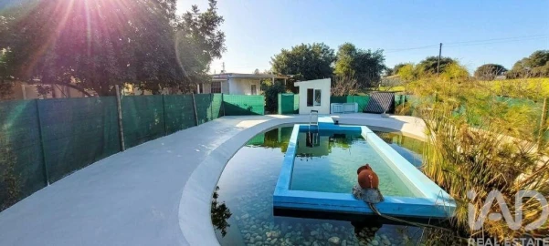 Terreno para Venda em Ferreiras