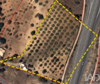 Terreno para Venda em Ferreiras