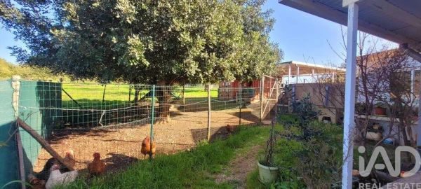 Terreno para Venda em Ferreiras