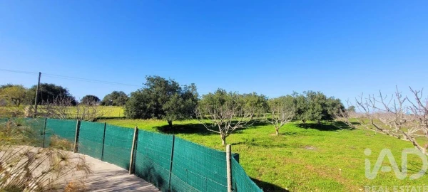 Terreno para Venda em Ferreiras