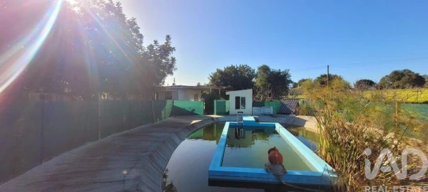 Terreno para Venda em Ferreiras