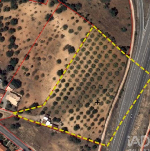 Terreno para Venda em Ferreiras