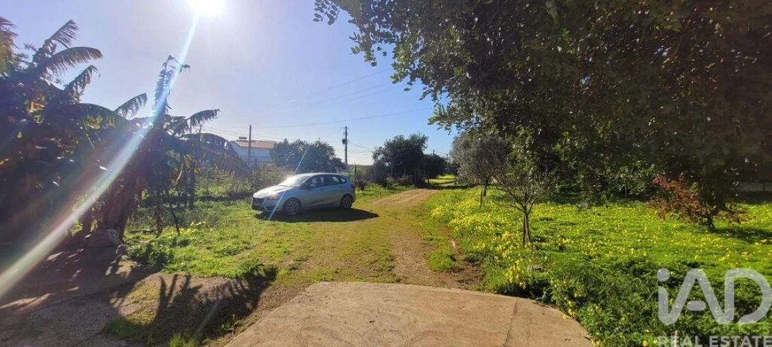 Terreno para Venda em Ferreiras Foto 20