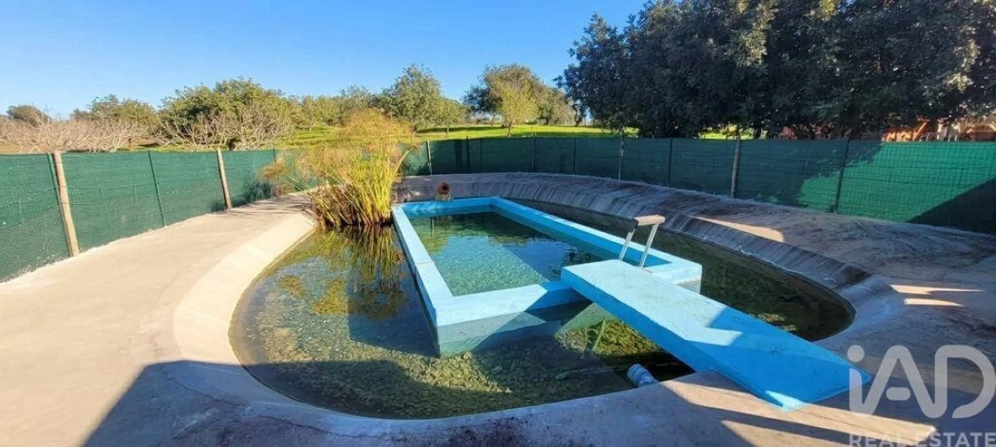 Terreno para Venda em Ferreiras Foto 13