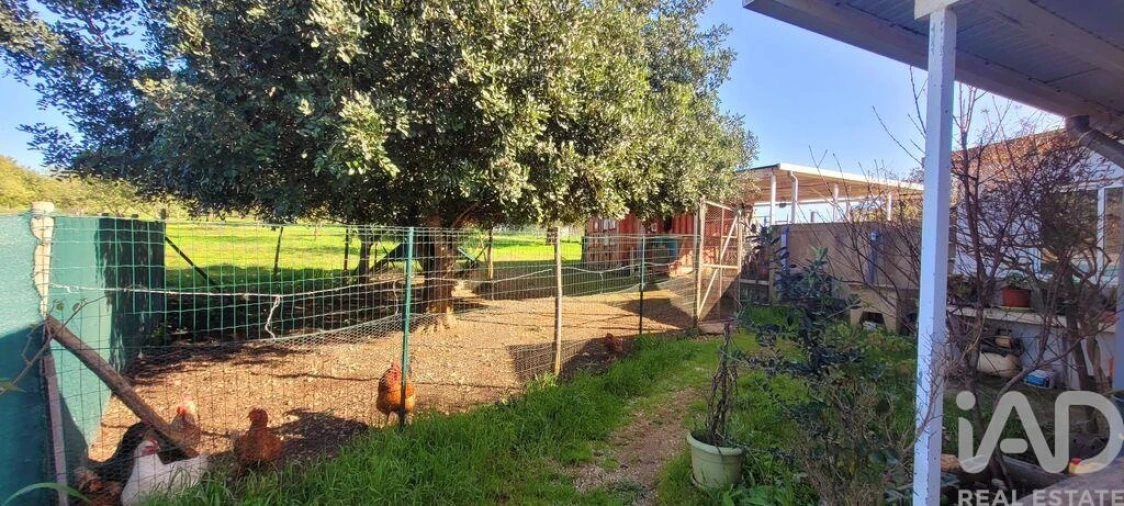 Terreno para Venda em Ferreiras Foto 7