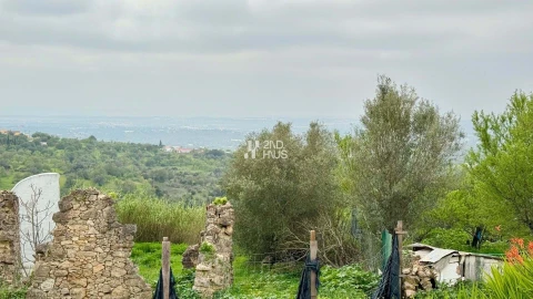 Moradia T2 para Venda em Boliqueime