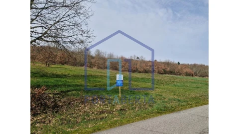 Terreno para Venda em Lebução, Fiães e Nozelos