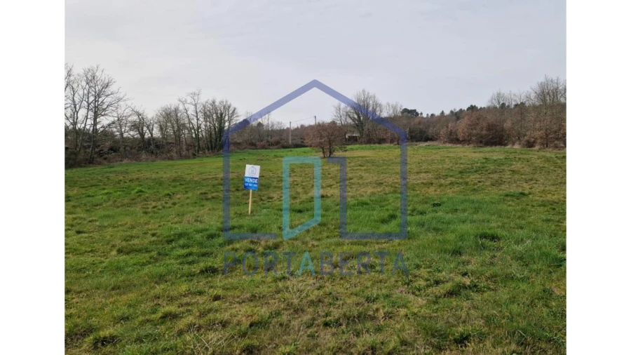 Terreno para Venda em Lebução, Fiães e Nozelos Foto 6