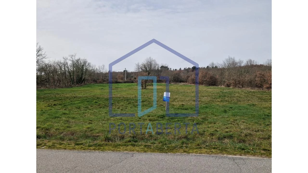 Terreno para Venda em Lebução, Fiães e Nozelos Foto 2