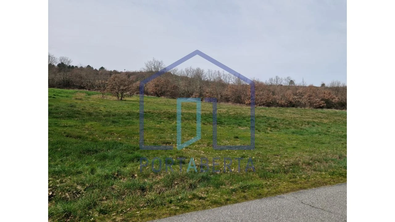 Terreno para Venda em Lebução, Fiães e Nozelos Foto 7