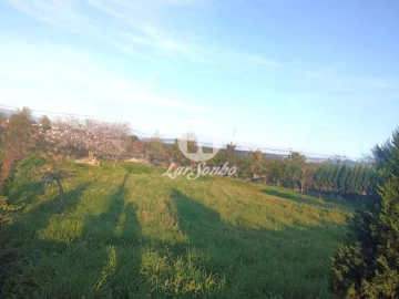 Terreno para Venda em Cabanelas