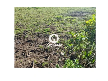 Terreno para Venda em Cabanelas