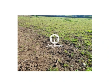 Terreno para Venda em Cabanelas