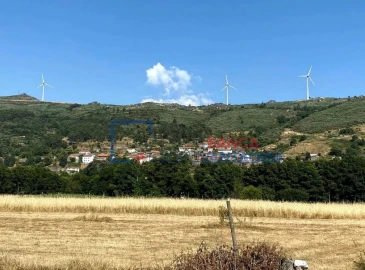 Quinta T5 para Venda em Telões