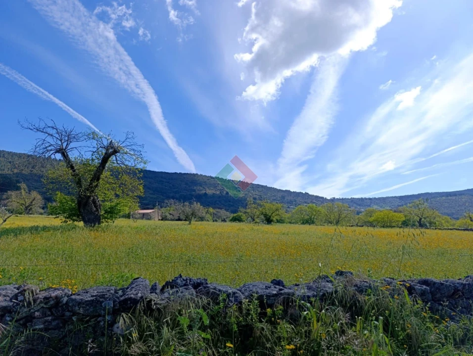 Terreno Agricola ou Rústico para Venda em São Salvador da Aramenha Foto 3