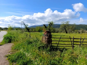 Terreno Agricola ou Rústico para Venda em São Salvador da Aramenha