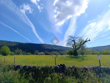 Terreno Agricola ou Rústico para Venda em São Salvador da Aramenha