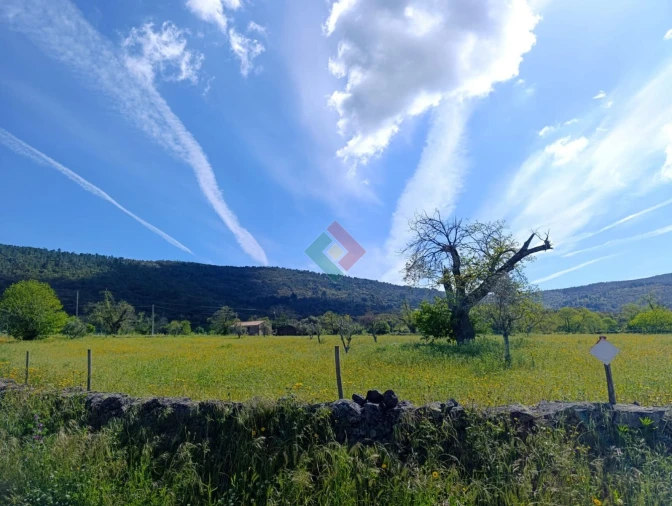 Terreno Agricola ou Rústico para Venda em São Salvador da Aramenha Foto 4