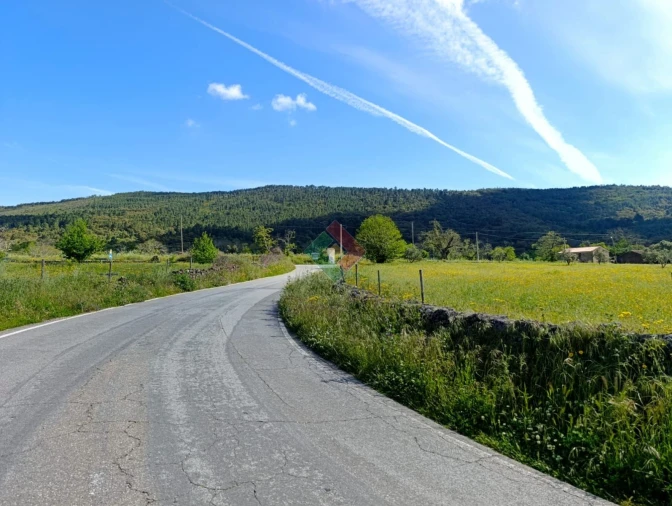 Terreno Agricola ou Rústico para Venda em São Salvador da Aramenha Foto 5
