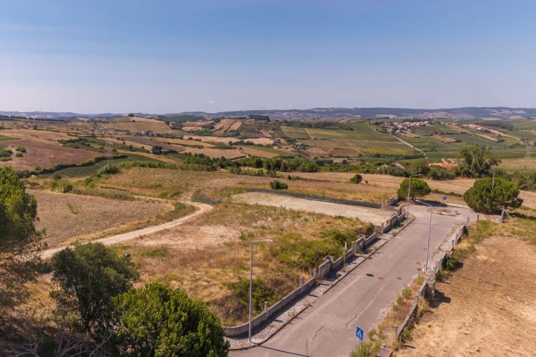 Terreno P/ Prédio para Venda em Ribafria e Pereiro de Palhacana Foto 4
