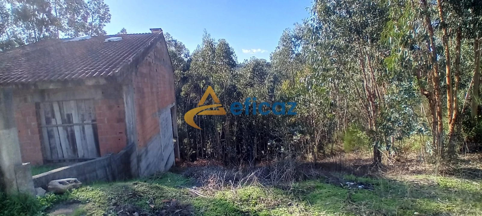 Terreno Agricola ou Rústico para Venda em Lagares e Figueira Foto 7